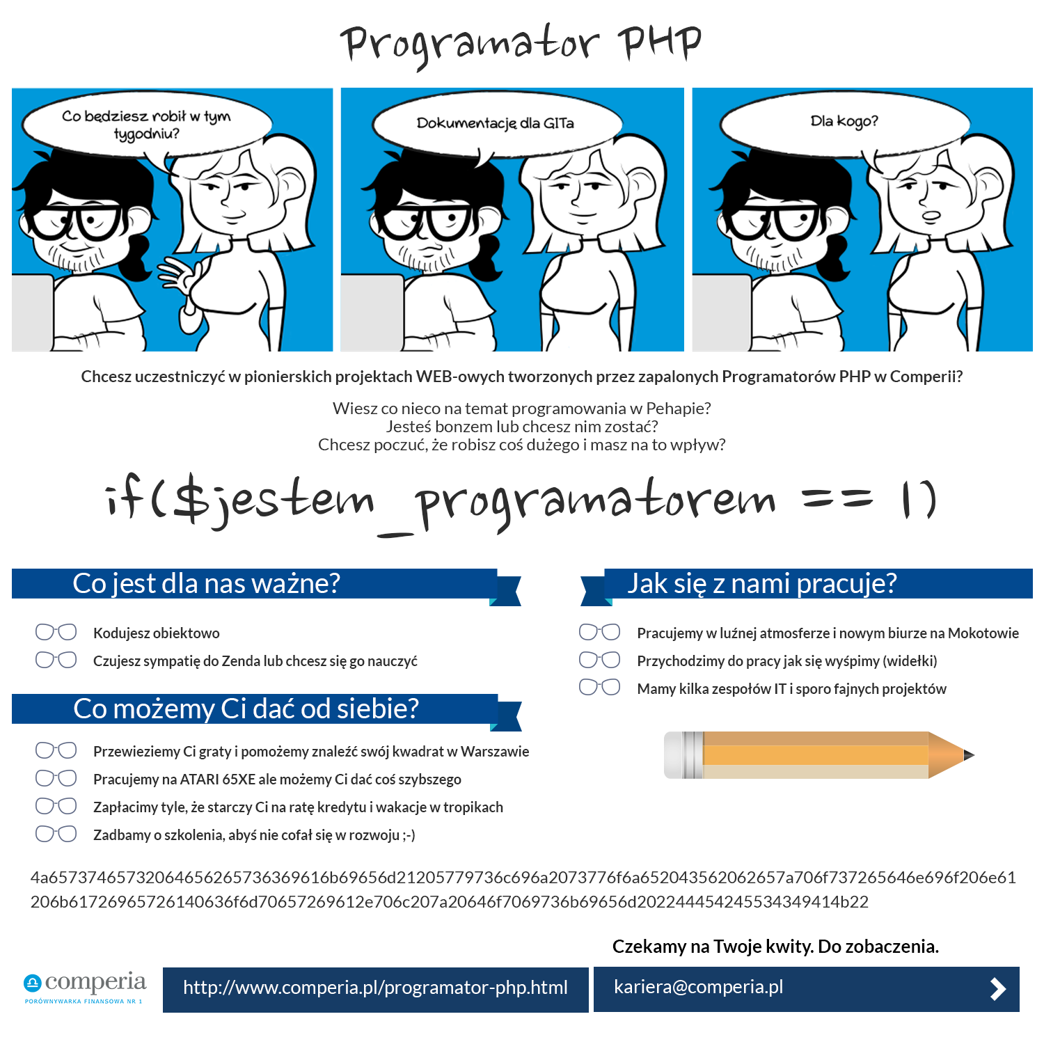 infografika_programator_php